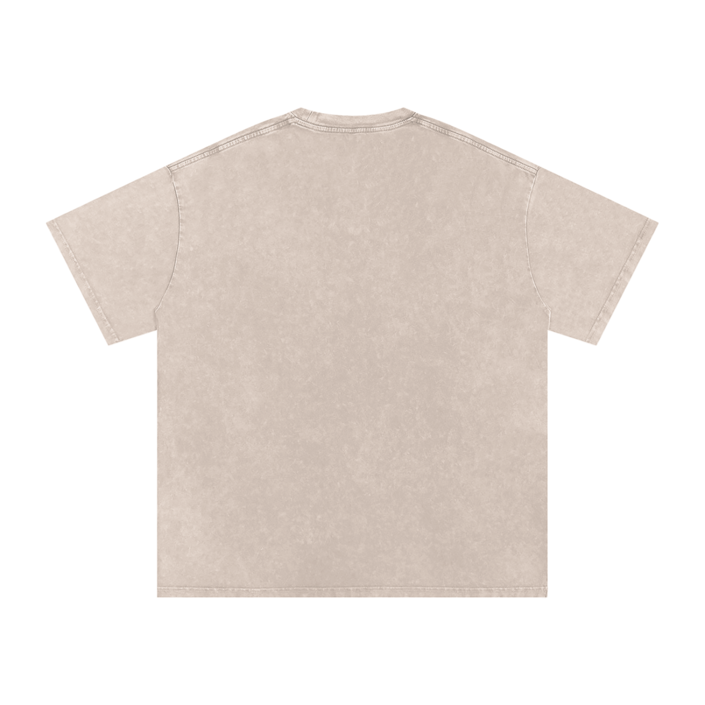 RG COIN: TEE SHIRT (SILVER COIN)