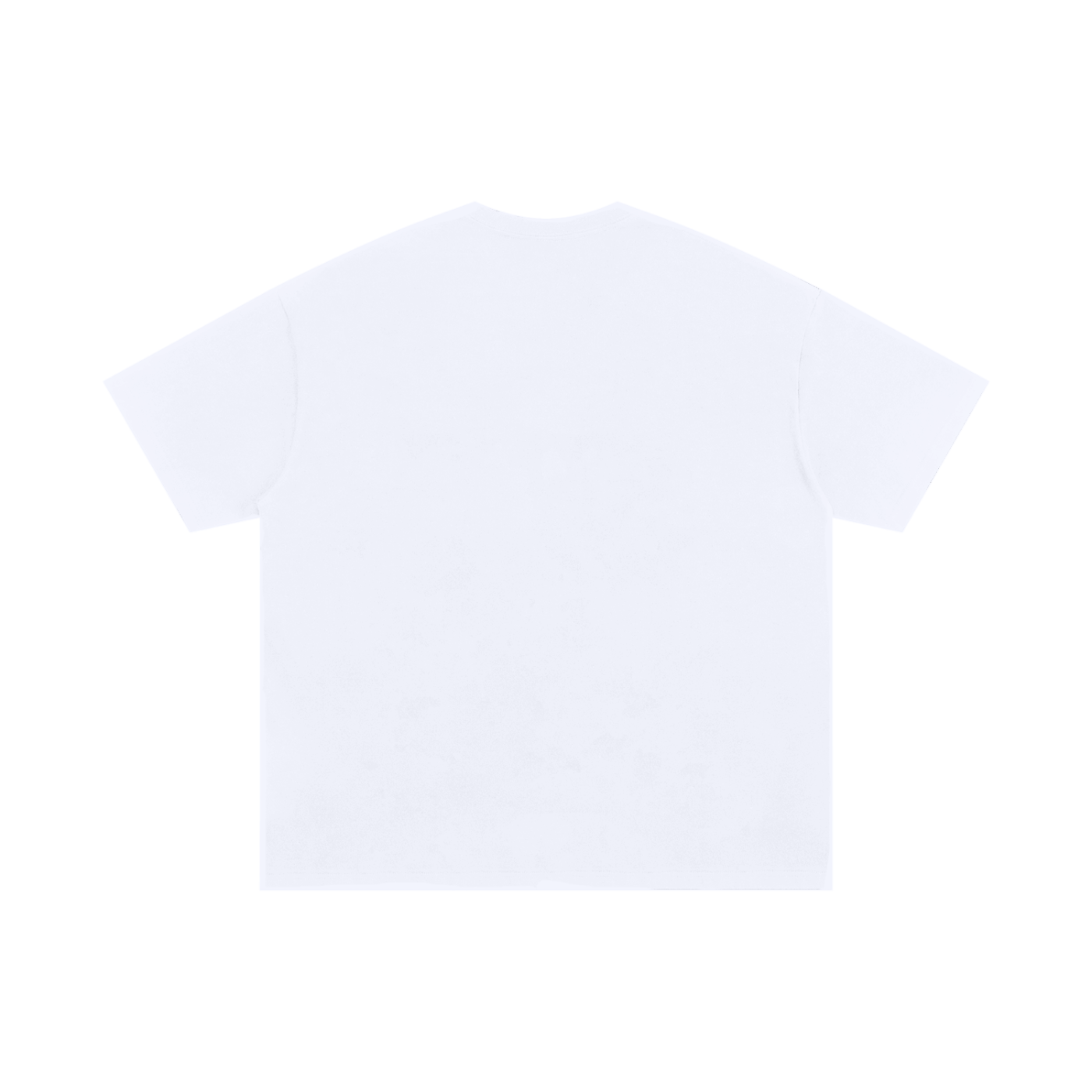 RG SKULL: FRONT ONLY SKULL CLASSIC TEE SHIRT (WHITE)