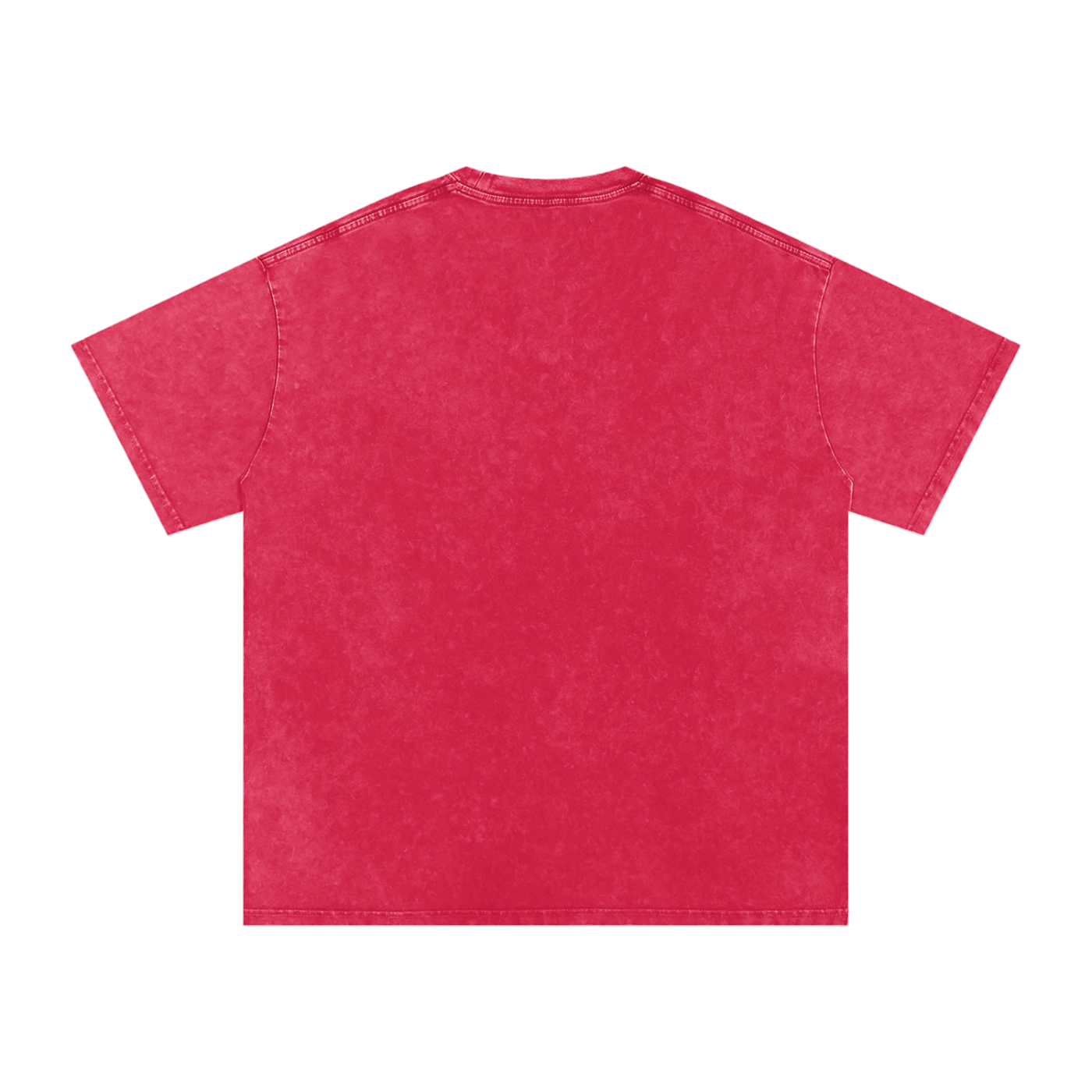 RG COIN: TEE SHIRT (SILVER COIN)