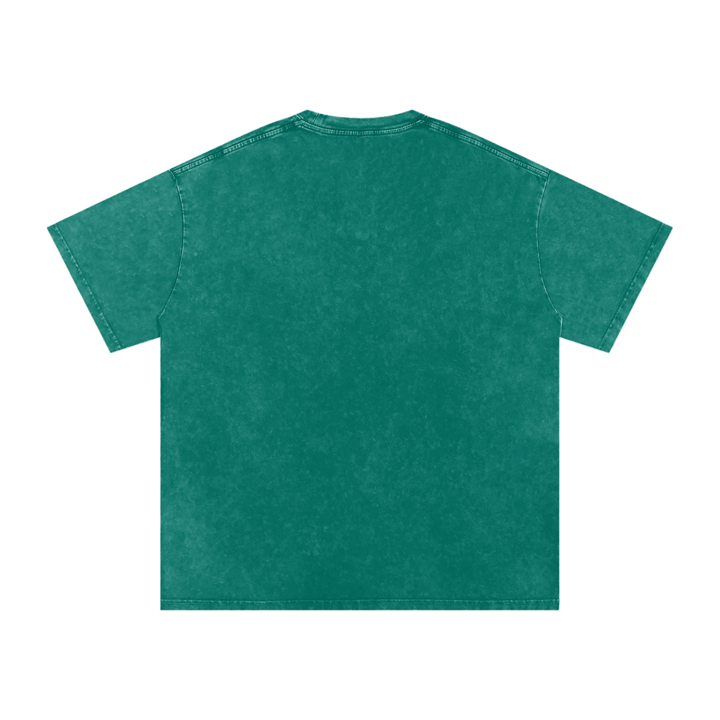 RG COIN: TEE SHIRT (SILVER COIN)
