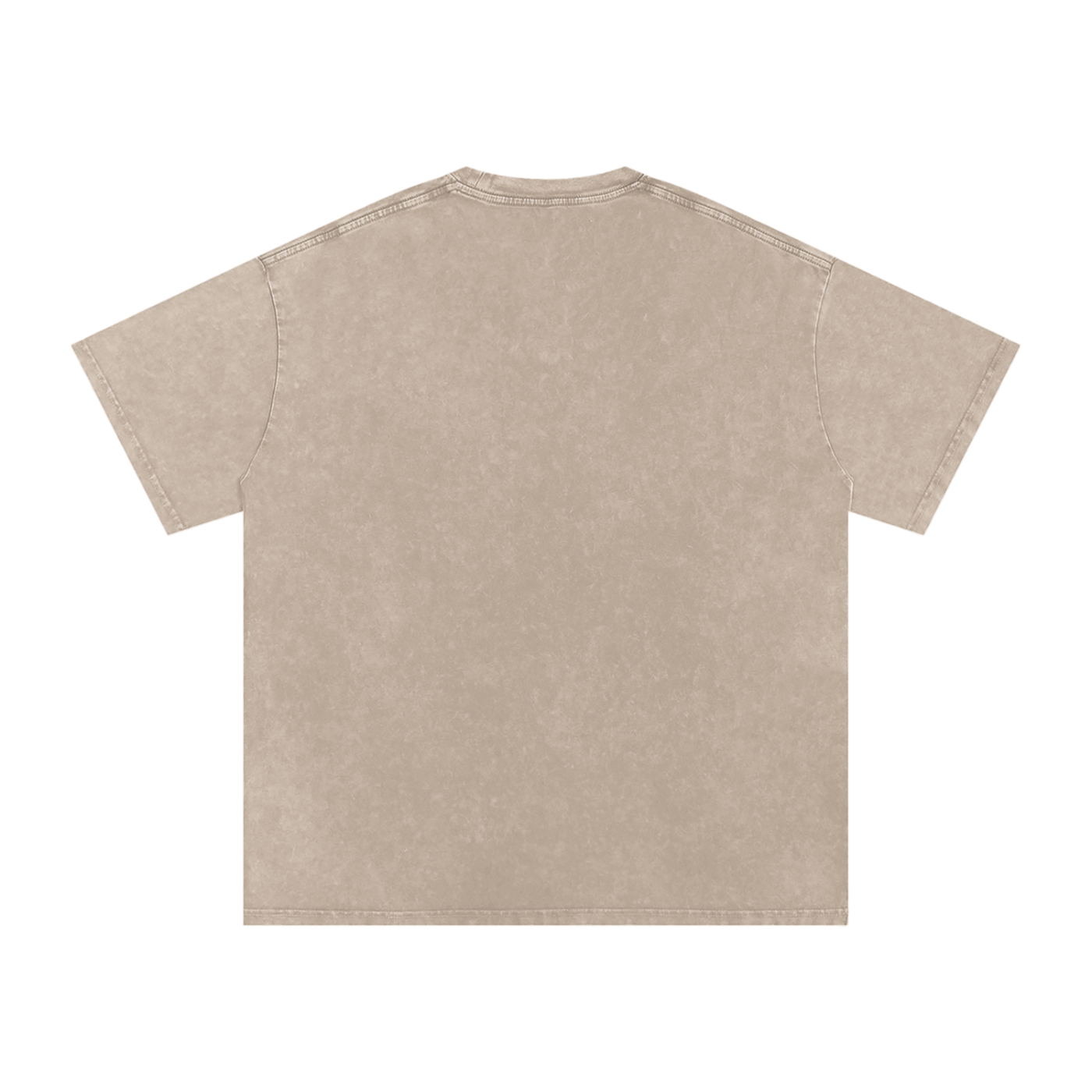 RG COIN: TEE SHIRT (SILVER COIN)